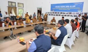 WhatsApp Image 2025-12-15 at 15.00.18