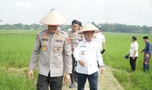 WhatsApp Image 2026-01-07 at 22.24.00