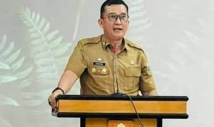 WhatsApp Image 2026-01-11 at 17.20.10