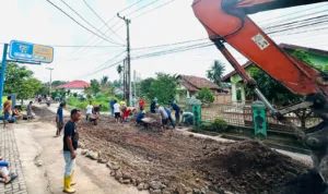 WhatsApp Image 2026-01-16 at 14.41.20